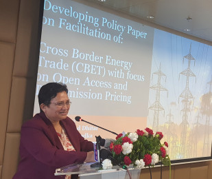 नागरिकता विधेयकमा संविधानको पालना हुन सकेन : ऊर्जामन्त्री भुसाल